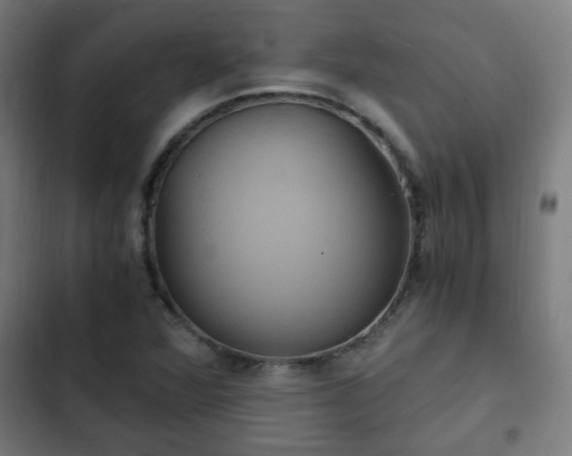 X0000103131360200808291307