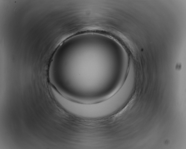 X0000103131361200808291307