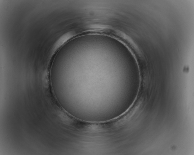 X0000103131362200808291307
