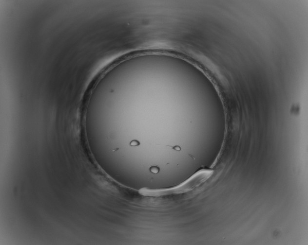 X0000103131364200808291307