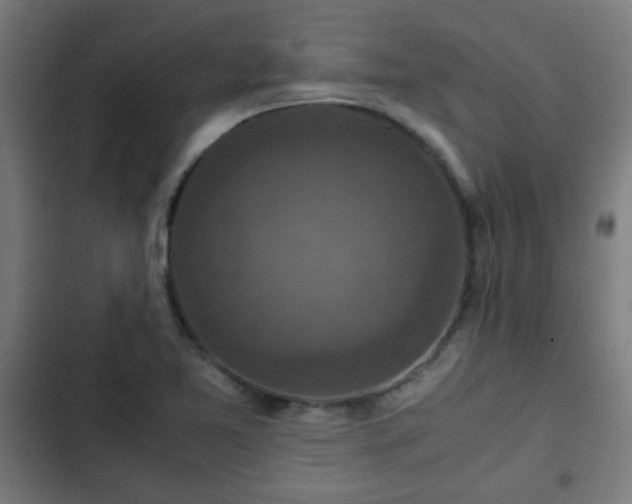 X0000103131365200808291306