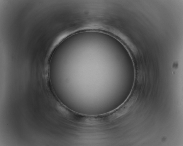 X0000103131366200808291306