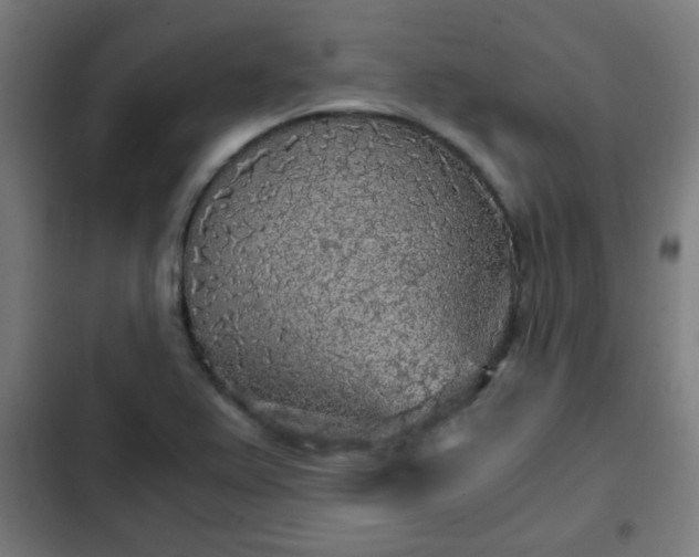 X0000103131367200808291306