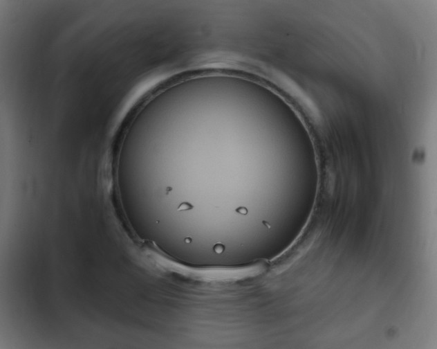 X0000103131368200808291306
