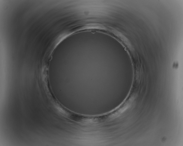 X0000103131369200808291306