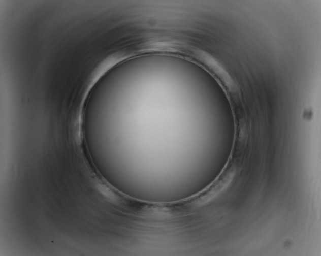X0000103131370200808291306