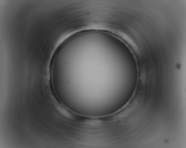 X0000103131372200808291306