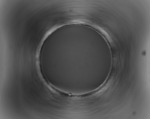 X0000103131373200808291306