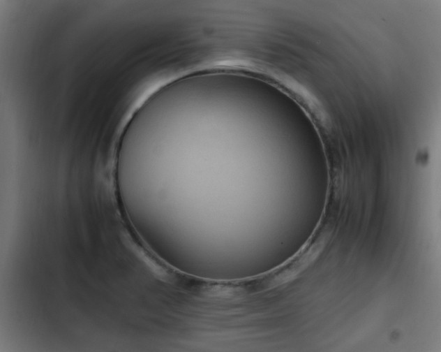 X0000103131374200808291306