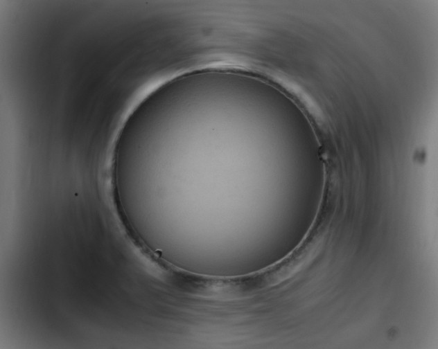 X0000103131375200808291306