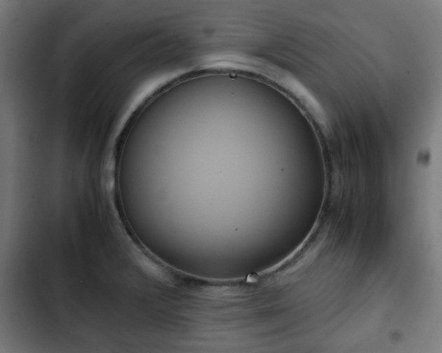 X0000103131376200808291306