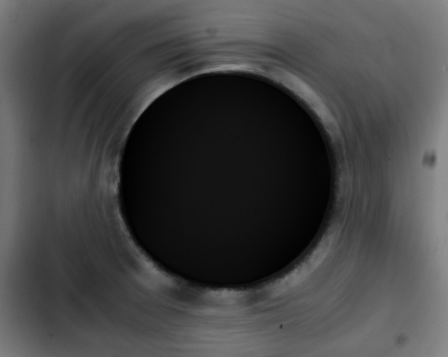 X0000103131377200808291306