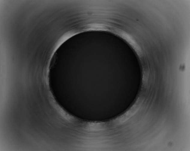 X0000103131378200808291306
