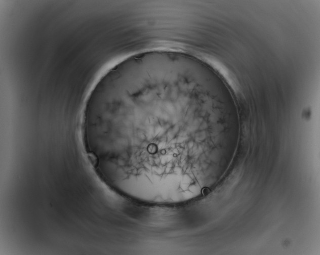 X0000103131379200808291306