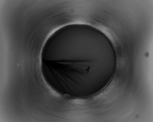 X0000103131380200808291306