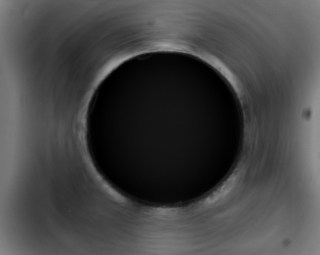X0000103131381200808291306
