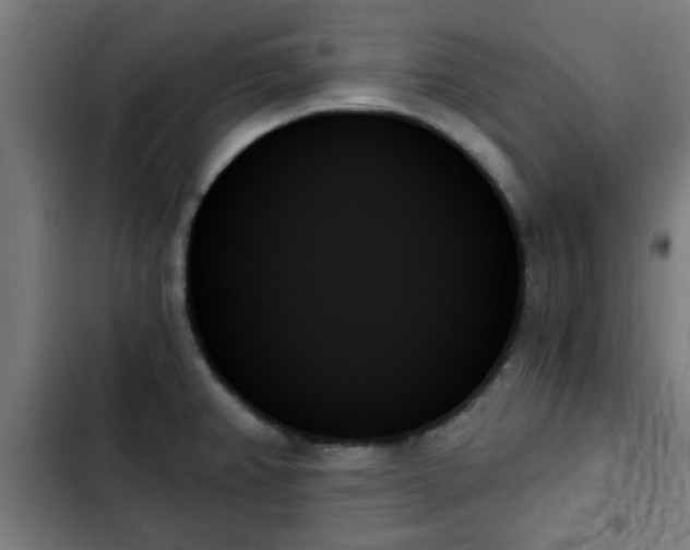X0000103131382200808291306