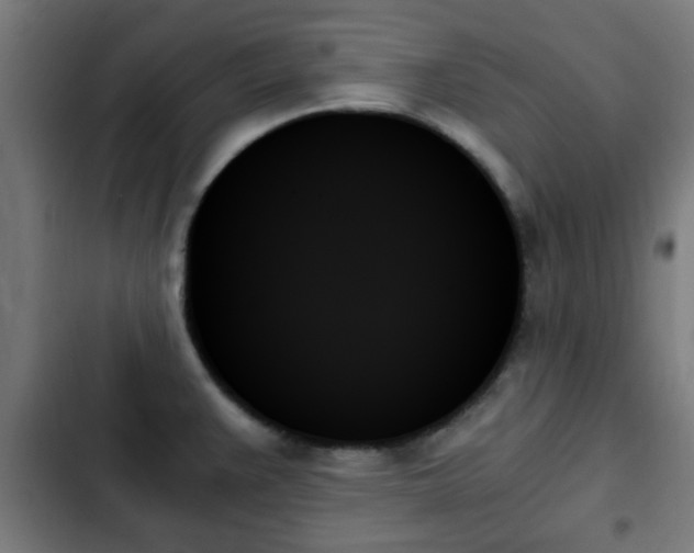 X0000103131383200808291306