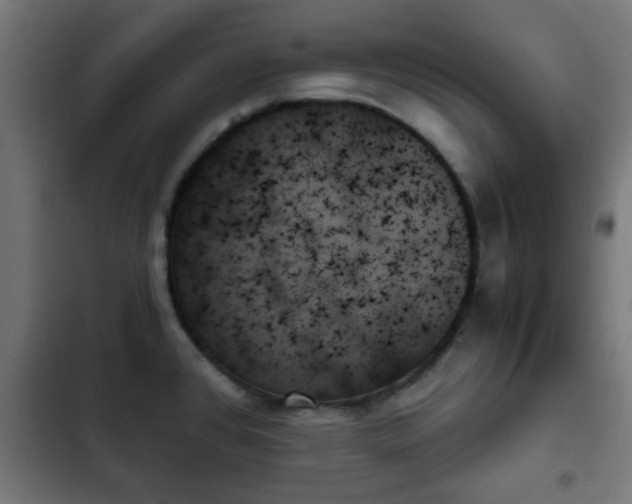 X0000103131384200808291306