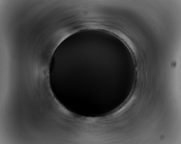 X0000103131385200808291306