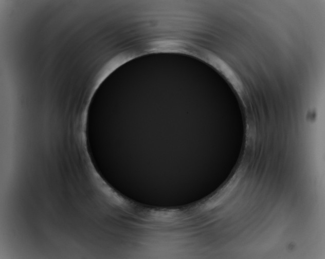 X0000103131386200808291306