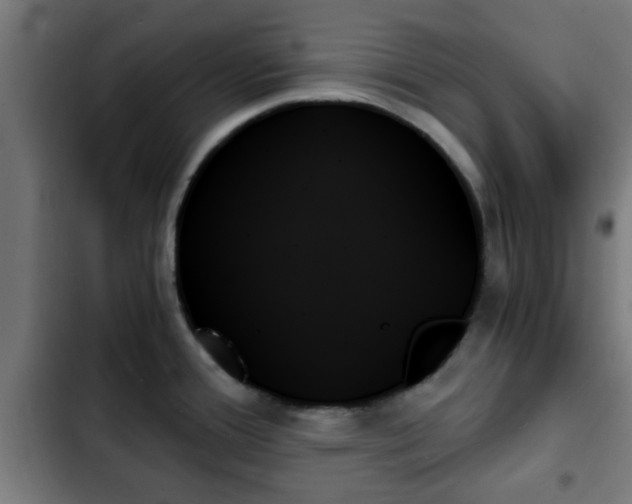 X0000103131388200808291306