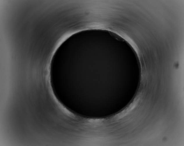 X0000103131389200808291306