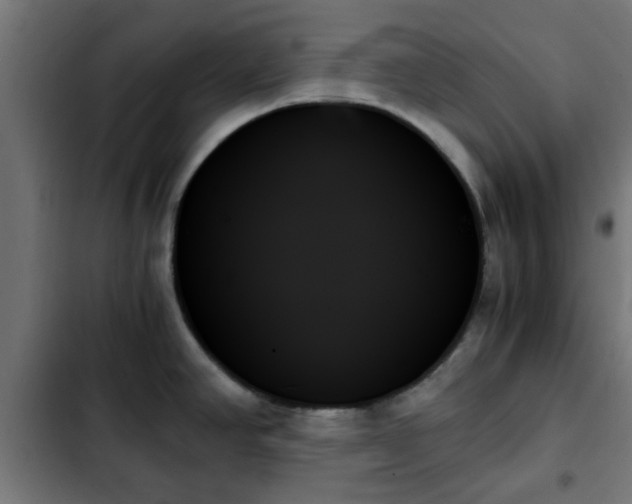 X0000103131390200808291306