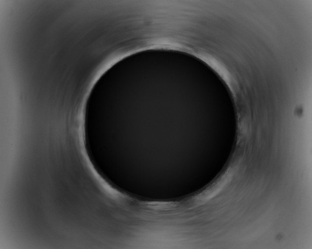 X0000103131391200808291306
