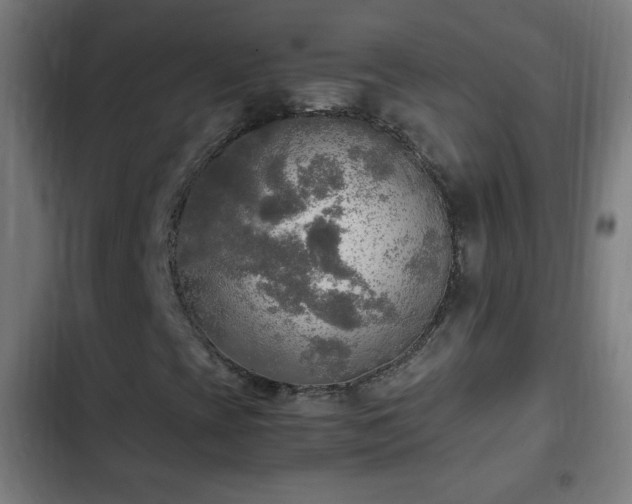 X0000103131393200808291305