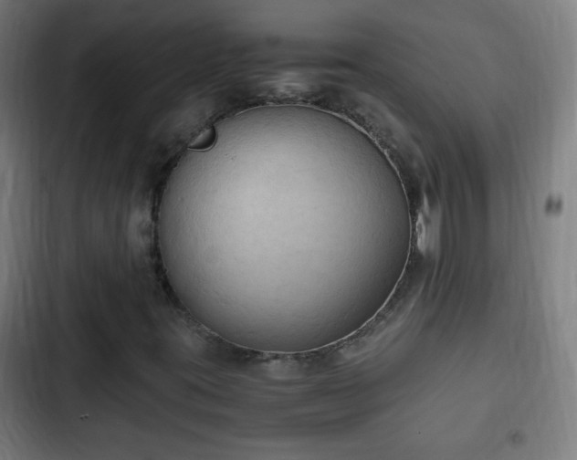 X0000103131395200808291305