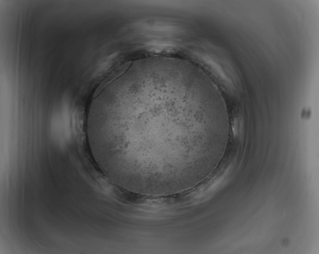 X0000103131396200808291305