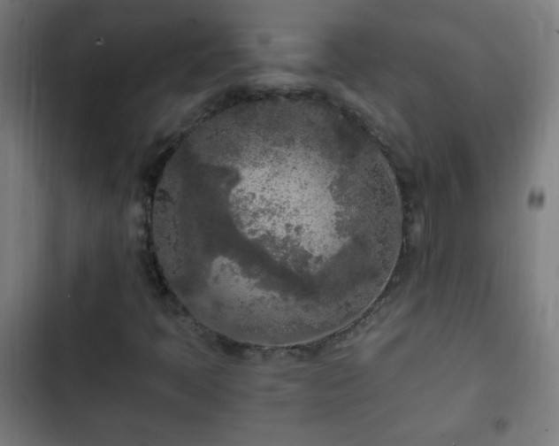 X0000103131397200808291305
