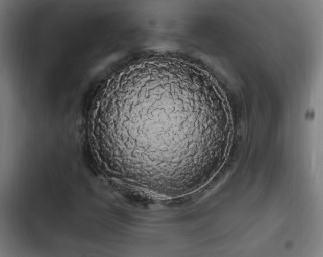 X0000103131398200808291305