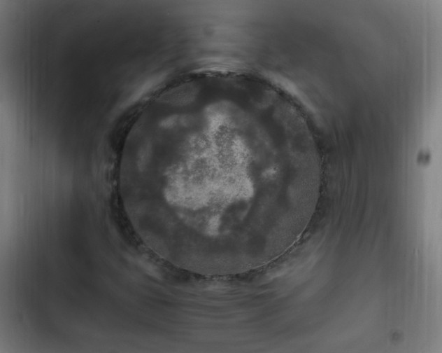 X0000103131399200808291305