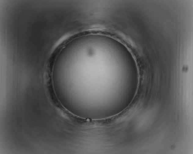 X0000103131400200808291305