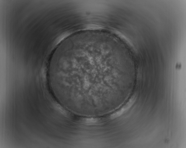 X0000103131401200808291305
