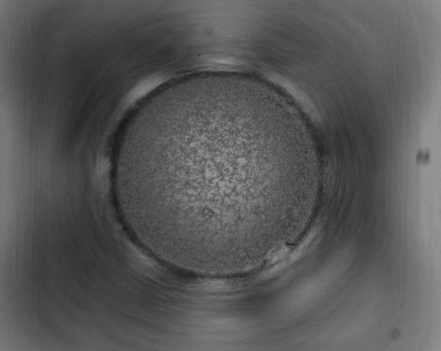 X0000103131402200808291305