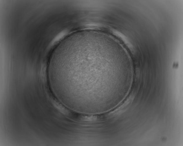 X0000103131403200808291305