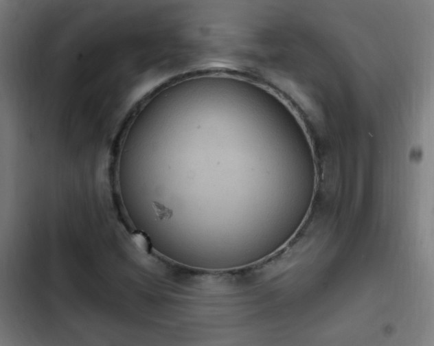 X0000103131404200808291305