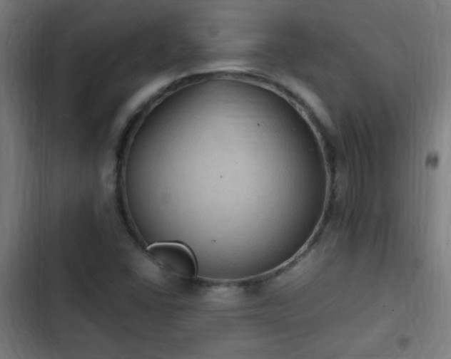 X0000103131406200808291305