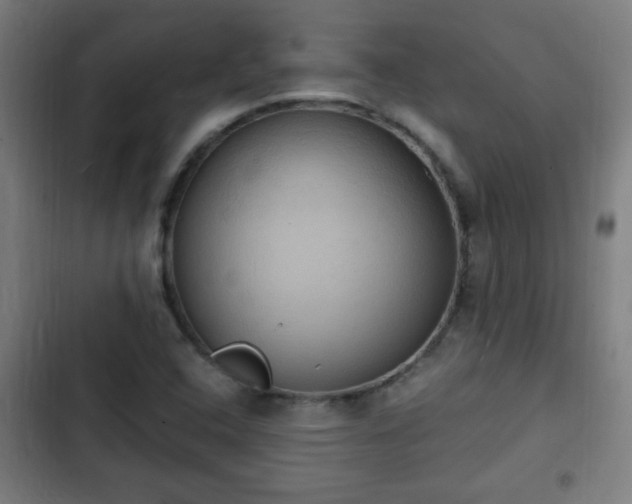 X0000103131408200808291306