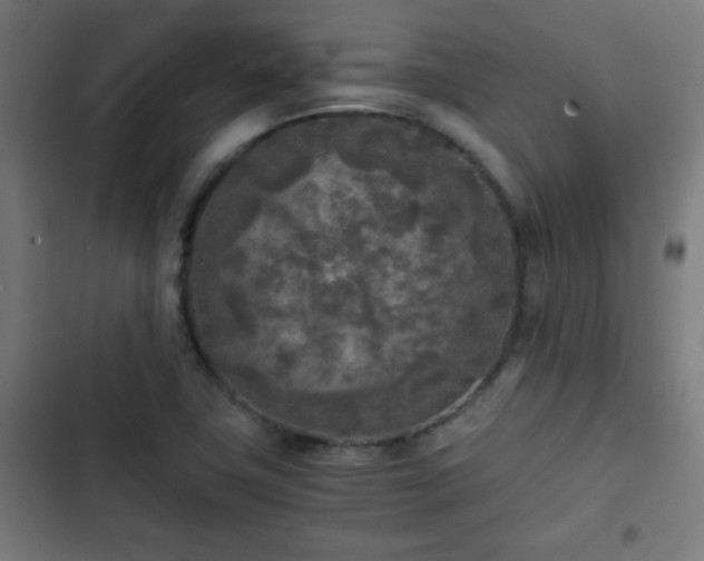 X0000103131411200808291306