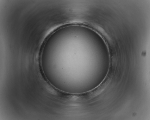 X0000103131412200808291306