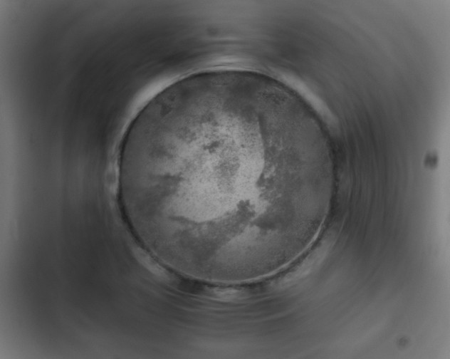 X0000103131413200808291306