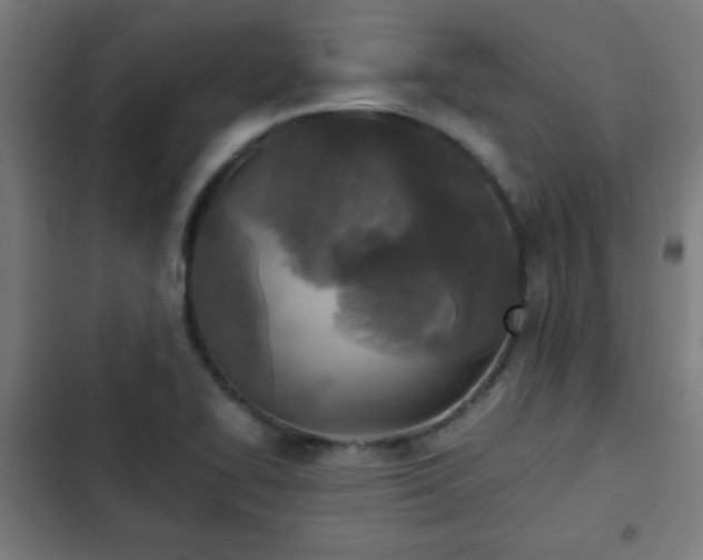 X0000103131414200808291306
