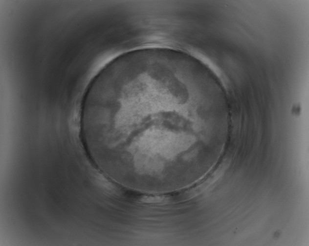 X0000103131415200808291306