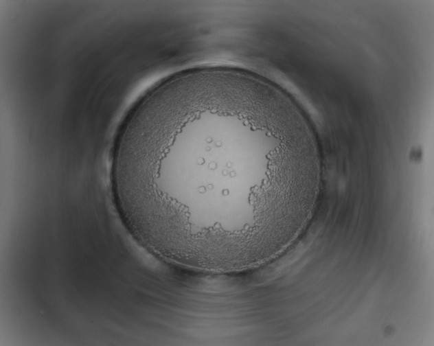 X0000103131416200808291306