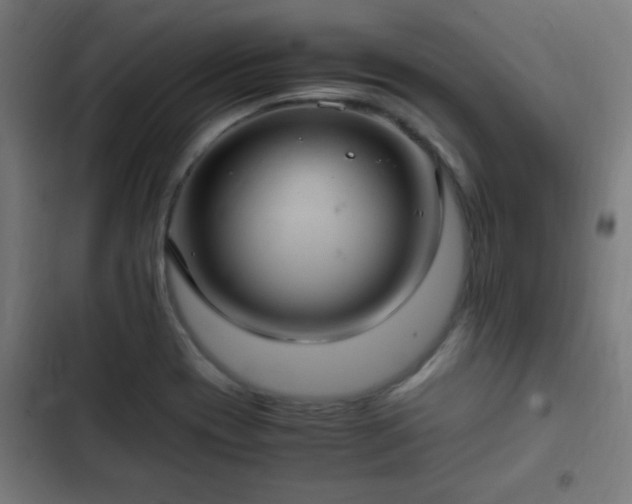 X0000103131417200808291306