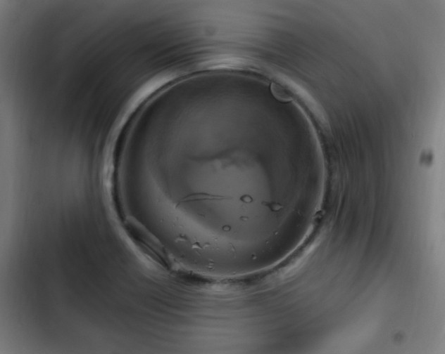X0000103131418200808291306